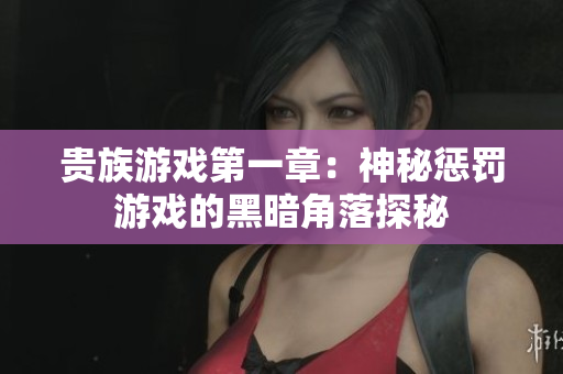 贵族游戏第一章：神秘惩罚游戏的黑暗角落探秘