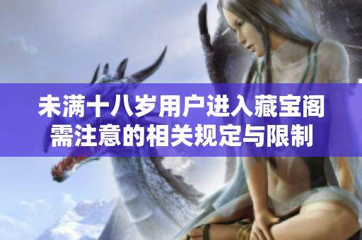 未满十八岁用户进入藏宝阁需注意的相关规定与限制