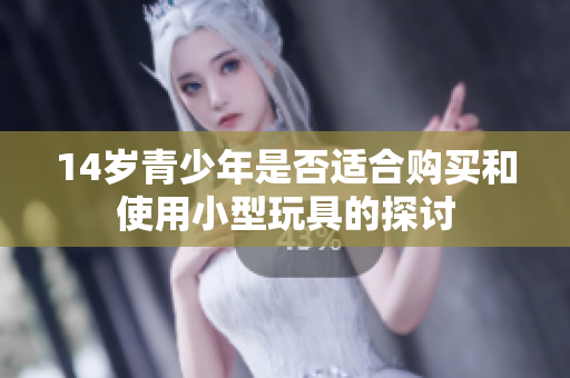 14岁青少年是否适合购买和使用小型玩具的探讨