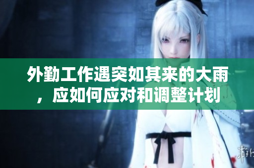 外勤工作遇突如其来的大雨，应如何应对和调整计划