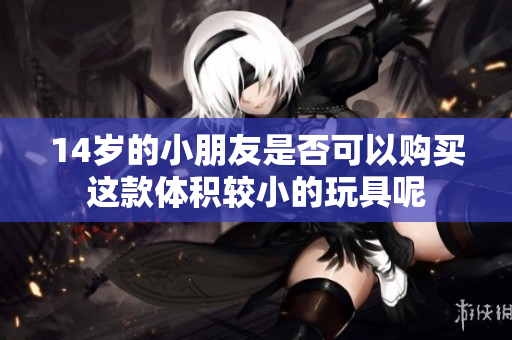 14岁的小朋友是否可以购买这款体积较小的玩具呢