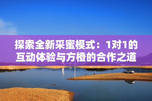 探索全新采蜜模式：1对1的互动体验与方橙的合作之道
