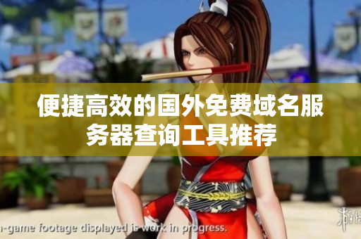 便捷高效的国外免费域名服务器查询工具推荐