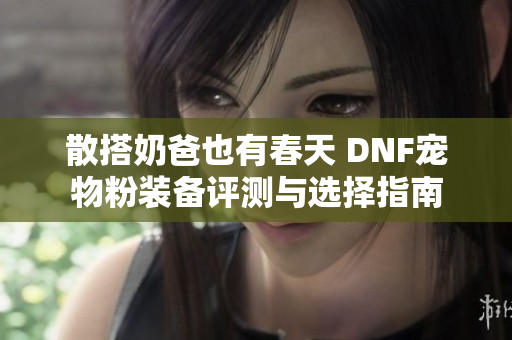 散搭奶爸也有春天 DNF宠物粉装备评测与选择指南