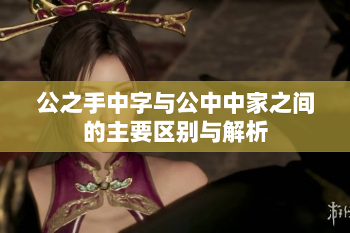 公之手中字与公中中家之间的主要区别与解析