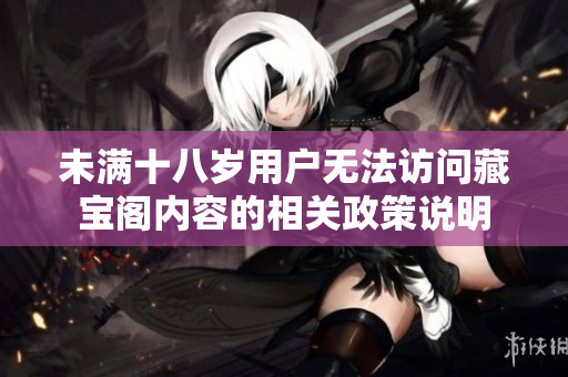 未满十八岁用户无法访问藏宝阁内容的相关政策说明