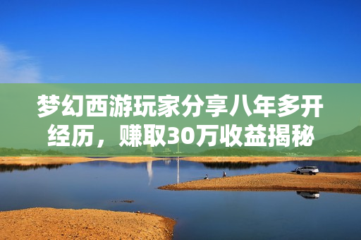 梦幻西游玩家分享八年多开经历，赚取30万收益揭秘