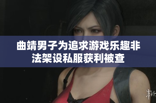曲靖男子为追求游戏乐趣非法架设私服获利被查