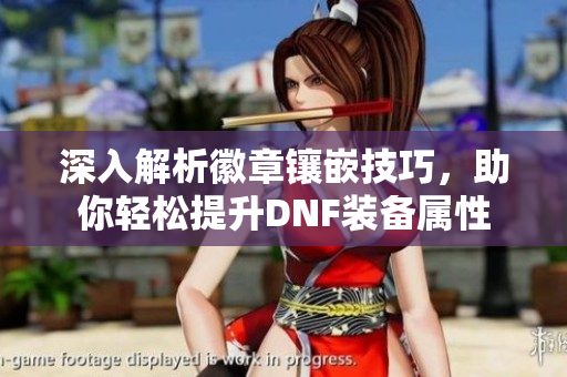 深入解析徽章镶嵌技巧，助你轻松提升DNF装备属性