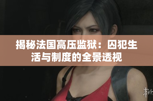 揭秘法国高压监狱：囚犯生活与制度的全景透视