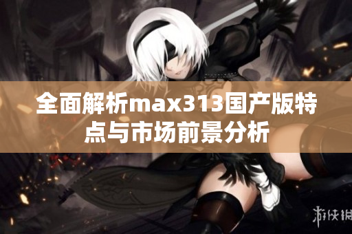 全面解析max313国产版特点与市场前景分析