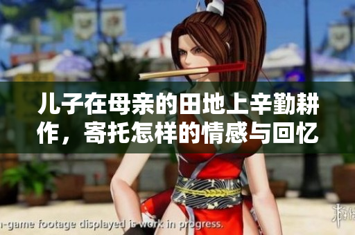 儿子在母亲的田地上辛勤耕作，寄托怎样的情感与回忆