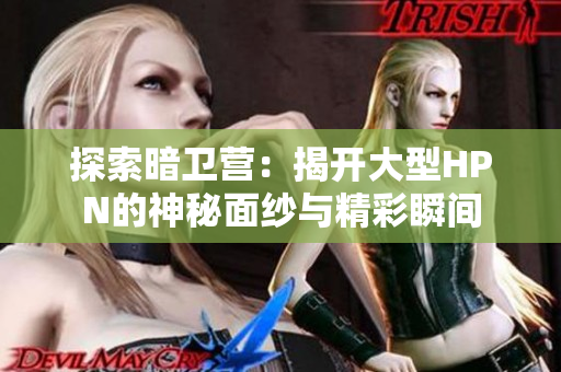 探索暗卫营：揭开大型HPN的神秘面纱与精彩瞬间