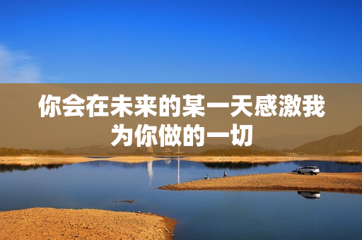 你会在未来的某一天感激我为你做的一切
