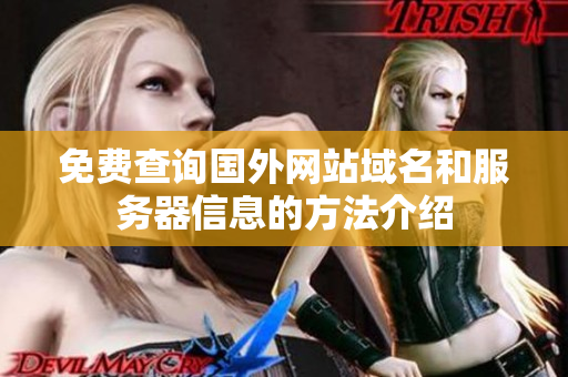 免费查询国外网站域名和服务器信息的方法介绍
