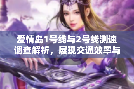 爱情岛1号线与2号线测速调查解析，展现交通效率与安全性