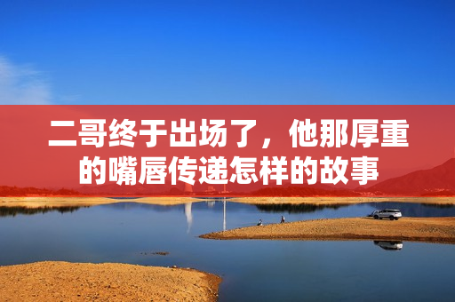 二哥终于出场了，他那厚重的嘴唇传递怎样的故事