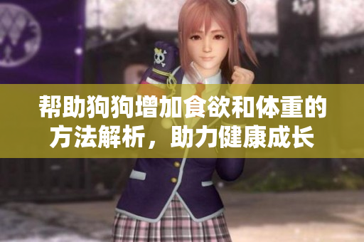 帮助狗狗增加食欲和体重的方法解析，助力健康成长