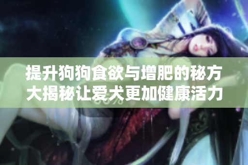 提升狗狗食欲与增肥的秘方大揭秘让爱犬更加健康活力满满