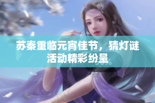 苏秦重临元宵佳节，猜灯谜活动精彩纷呈
