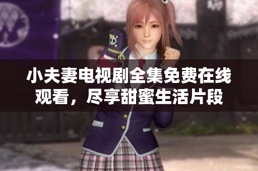 小夫妻电视剧全集免费在线观看，尽享甜蜜生活片段
