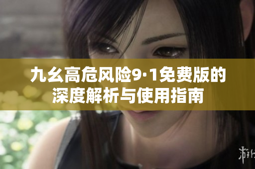 九幺高危风险9·1免费版的深度解析与使用指南