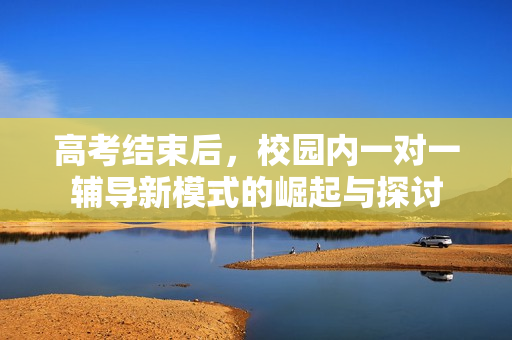 高考结束后，校园内一对一辅导新模式的崛起与探讨