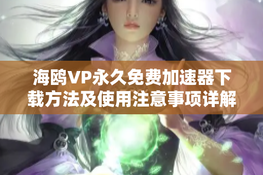 海鸥VP永久免费加速器下载方法及使用注意事项详解