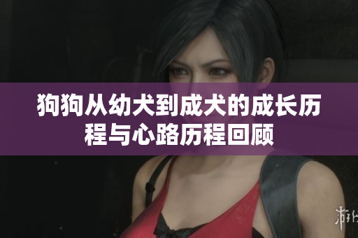 狗狗从幼犬到成犬的成长历程与心路历程回顾