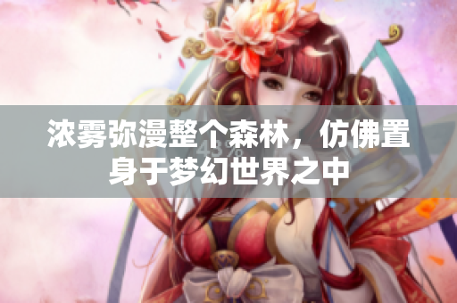 浓雾弥漫整个森林，仿佛置身于梦幻世界之中
