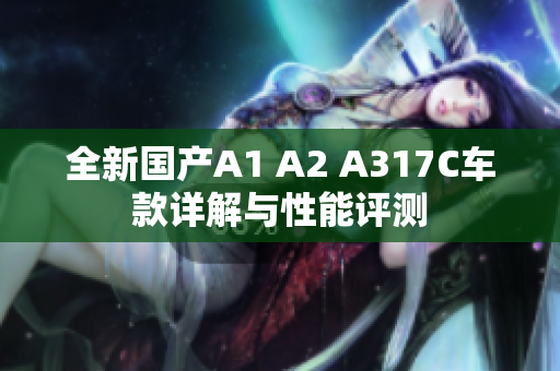 全新国产A1 A2 A317C车款详解与性能评测