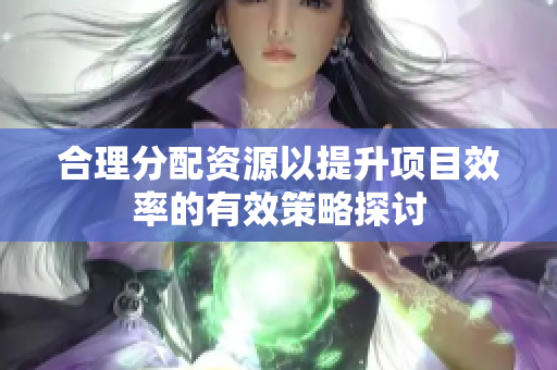 合理分配资源以提升项目效率的有效策略探讨