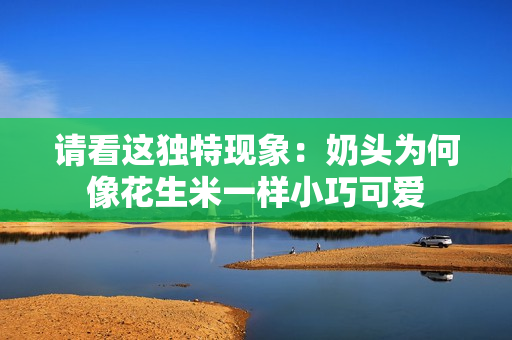 请看这独特现象：奶头为何像花生米一样小巧可爱