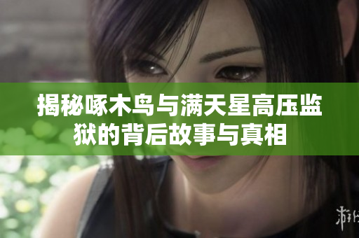 揭秘啄木鸟与满天星高压监狱的背后故事与真相