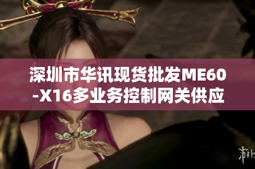 深圳市华讯现货批发ME60-X16多业务控制网关供应商