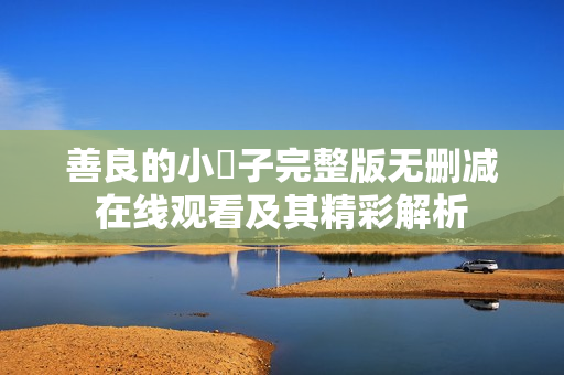 善良的小峓子完整版无删减在线观看及其精彩解析