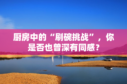 厨房中的“刷碗挑战”，你是否也曾深有同感？