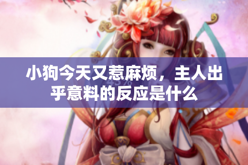 小狗今天又惹麻烦，主人出乎意料的反应是什么