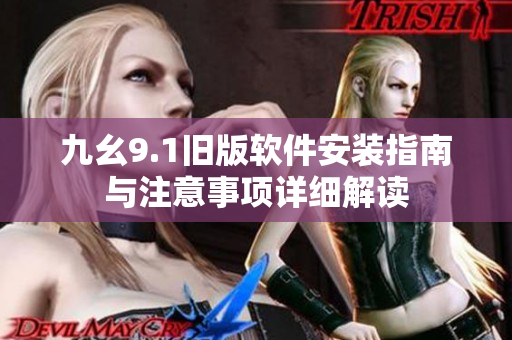 九幺9.1旧版软件安装指南与注意事项详细解读