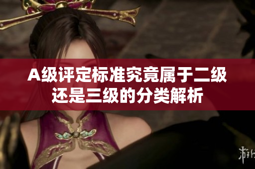 A级评定标准究竟属于二级还是三级的分类解析