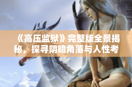 《高压监狱》完整版全景揭秘，探寻阴暗角落与人性考验