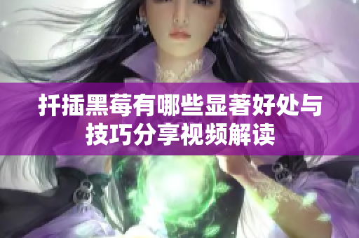 扦插黑莓有哪些显著好处与技巧分享视频解读