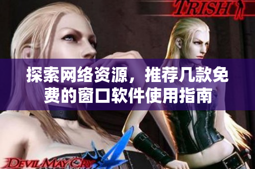 探索网络资源，推荐几款免费的窗口软件使用指南