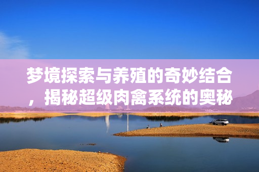 梦境探索与养殖的奇妙结合，揭秘超级肉禽系统的奥秘