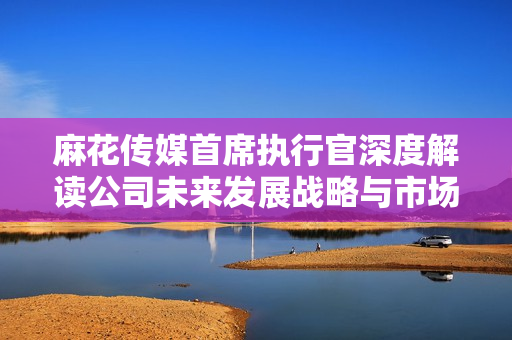 麻花传媒首席执行官深度解读公司未来发展战略与市场布局