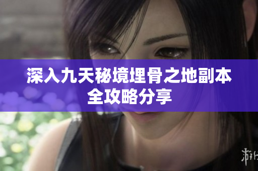 深入九天秘境埋骨之地副本全攻略分享