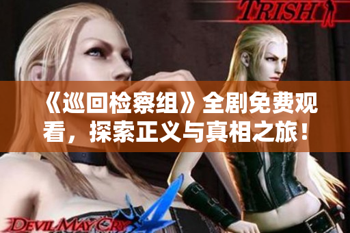《巡回检察组》全剧免费观看，探索正义与真相之旅！