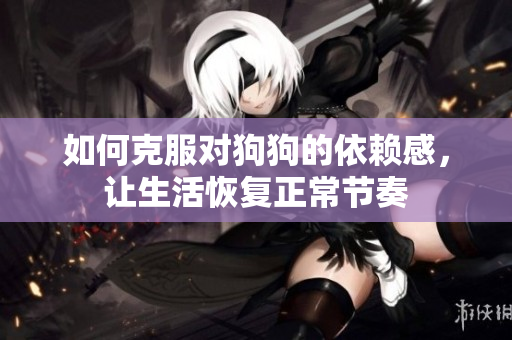 如何克服对狗狗的依赖感，让生活恢复正常节奏
