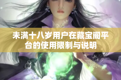 未满十八岁用户在藏宝阁平台的使用限制与说明