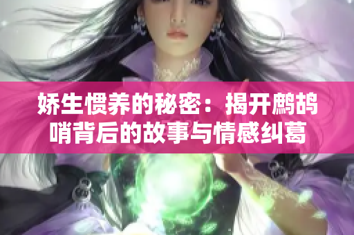 娇生惯养的秘密：揭开鹧鸪哨背后的故事与情感纠葛